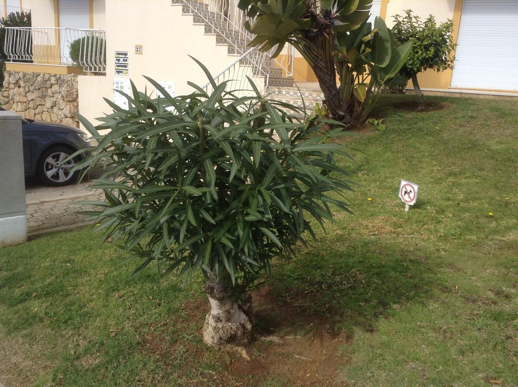 Votre Appartement A Portimao Bagian luar foto